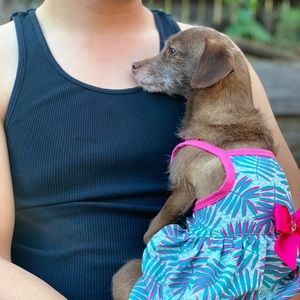 Meet your Posher, Nancy